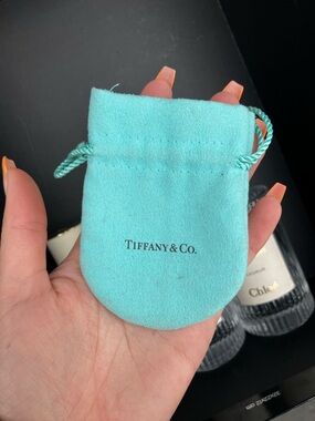 Tiffany & Co. Robin's Egg Blue Suede Drawstring Pouch